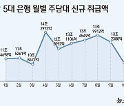 '스트레스 DSR 2단계' 시행 두달…신규 주담대 20% 줄었다