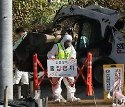 음성 육용오리 농장 고병원성 AI 확진…13만마리 살처분