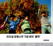 [포토오늘] 800살 은행나무 기운 받아 '폴짝'