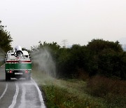 충북 음성 육용오리농장서 고병원성 AI 발생