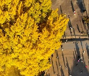 주말 기온 차츰 올라… 전국 단풍 ‘절정’으로