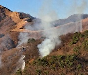 홍천 군부대 사격장서 산불… 진화율 80%