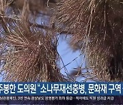 주봉한 도의원 “소나무재선충병, 문화재 구역 집중방제”