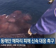 도의회, 동해안 해파리 피해 신속 대응 촉구