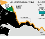 "인도 증시, 트럼프 수혜"…개미, 펀드 수백억 '사자'