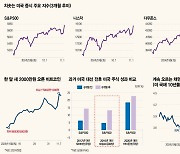 방산·원전株 날고 2차전지 ‘와르르’ [다시 돌아온 트럼프]