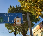 [시흥소식] '물왕호수' 주변 도로표지판 정비 등