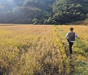 "볏짚 사료 안정성을" 경남 산청군, 볏짚 잔류농약 검사