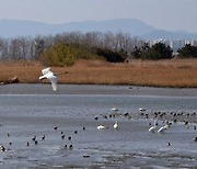 자연 벗 삼아 사계절 힐링… 생태공원 매력에 빠지다 [지방기획]