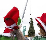 2024 Rockefeller Center Christmas Tree Cutting