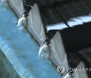 보령광역상수도 누수사고로 서산 전지역 단수 예정