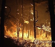 New Jersey Forest Fires