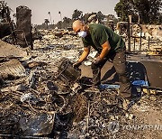 California Winds Wildfires