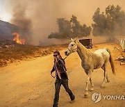 California Winds Wildfires