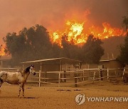 California Winds Wildfires