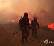 USA CALIFORNIA MOUNTAIN FIRE