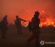 USA CALIFORNIA MOUNTAIN FIRE