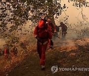 USA CALIFORNIA MOUNTAIN FIRE