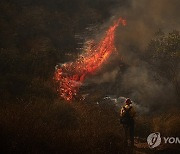 USA CALIFORNIA MOUNTAIN FIRE