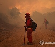 USA CALIFORNIA MOUNTAIN FIRE