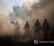 USA CALIFORNIA MOUNTAIN FIRE