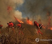 USA CALIFORNIA MOUNTAIN FIRE