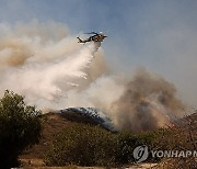 USA CALIFORNIA MOUNTAIN FIRE