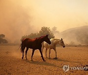 USA CALIFORNIA MOUNTAIN FIRE