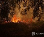 USA CALIFORNIA MOUNTAIN FIRE