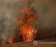 USA CALIFORNIA MOUNTAIN FIRE