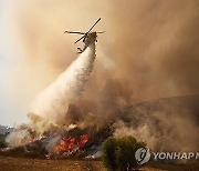 USA CALIFORNIA MOUNTAIN FIRE