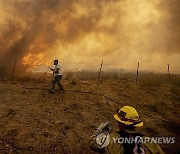 California Winds Wildfires