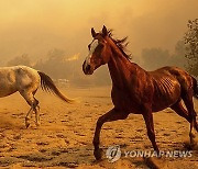 APTOPIX California Winds Wildfires