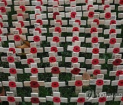 BRITAIN FIELD OF REMEMBRANCE