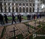 BRITAIN FIELD OF REMEMBRANCE