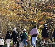 [내일날씨] 포근한 일요일…서울 낮 기온 20도 안팎