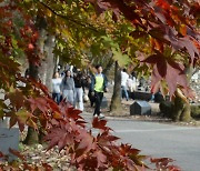 [내일 날씨] 맑고 포근한 가을 주말…서울 낮 최고 20도까지