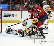 Penguins Capitals Hockey