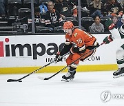 Wild Ducks Hockey