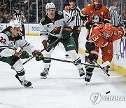 Wild Ducks Hockey