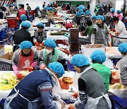 북적이는 평창 김장축제