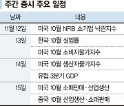 美 대선 후폭풍 안정화 기대... 낙폭 큰 車·반도체 반등노려 [주간 증시 전망]