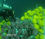 침몰 금성호 실종자 2명 발견…많은 어획량에 침몰했나