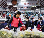 평창 고랭지 김장 축제 성황