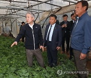 강호동 농협중앙회장, 여수 무 생육동향 점검