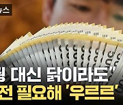 [자막뉴스] '대출 조이기' 급한 불 끄는 서민들... 풍선효과 어쩌나