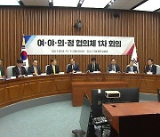 야당 빠진 '여의정' "연말까지 성과"...민주 "실효성 의문"