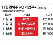 공모주 한파 지속…고민 커지는 VC 업계