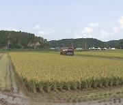 전남도, 기본형 공익직불금 4,500억 원 순차 지급