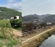 전북도 감사위, ‘전주시 버드나무 무차별 벌목’ 기관경고